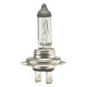 H7 12V 55W PX26d LUMITEC ΑΛΟΓΟΝΟΥ AMIO - 1 ΤΕΜ. - Amio - 01156/AM H7 12V 55W PX26d LUMITEC ΑΛΟΓΟΝΟΥ AMIO - 1 ΤΕΜ. - Amio - 01156/AM