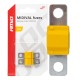 ΑΣΦΑΛΕΙΕΣ MIDIVAL 60A AMIO - 2 Τεμ. - Amio - 03476/AM