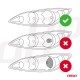 ΛΑΜΠΕΣ H4 PL-LENS SERIES 9>36V 60W 5.000K 3.800lm LED 2x4575 SMD CAN-BUS ΜΕ ΠΡΟΤΖΕΚΤΟΡΑ AMIO - 2 Τεμ. - Amio - 03667/AM ΛΑΜΠΕΣ H4 PL-LENS SERIES 9>36V 60W 5.000K 3.800lm LED 2x4575 SMD CAN-BUS ΜΕ ΠΡΟΤΖΕΚΤΟΡΑ AMIO - 2 Τεμ. - Amio - 03667/AM