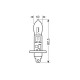 H1 55W 12V Xenium Race - Lampa - L5817.7 H1 55W 12V Xenium Race - Lampa - L5817.7