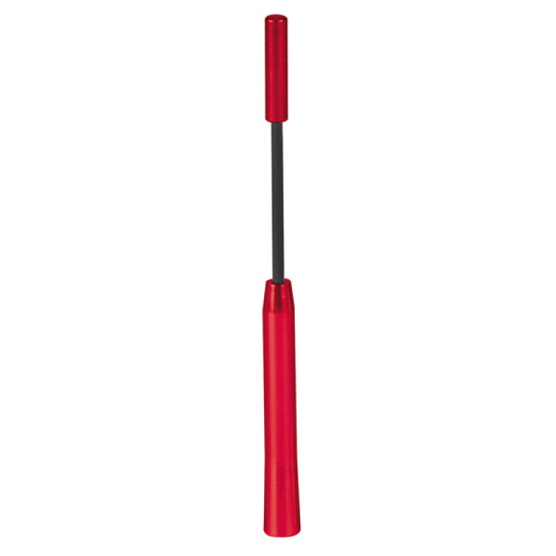 ΚΕΡΑΙΑ ΟΡΟΦΗΣ ALU-TECH ΚΟΚΚΙΝΗ ΔΙΑΜΕΤΡΟΥ 6mm ΥΨΟΥΣ 16cm UNIVERSAL ΤΥΠΟΥ ALFA ROMEO/FIAT/LANCIA (ΠΡΟΣΦΟΡΑ) - Lampa - L4015.2 ΚΕΡΑΙΑ ΟΡΟΦΗΣ ALU-TECH ΚΟΚΚΙΝΗ ΔΙΑΜΕΤΡΟΥ 6mm ΥΨΟΥΣ 16cm UNIVERSAL ΤΥΠΟΥ ALFA ROMEO/FIAT/LANCIA (ΠΡΟΣΦΟΡΑ) - Lampa - L4015.2
