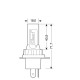 H4 12/24V P43t 6.500K 2.000lm 15W 12LED SEOUL CSP-Y19chips HALO LED SERIE 11 PLUG & BRITE 2ΤΕΜ. - Lampa - L5780.7 H4 12/24V P43t 6.500K 2.000lm 15W 12LED SEOUL CSP-Y19chips HALO LED SERIE 11 PLUG & BRITE 2ΤΕΜ. - Lampa - L5780.7
