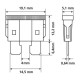 ΑΣΦΑΛΕΙΕΣ ΣΕΤ ΣΕ ΚΟΥΤΙ 80ΤΕΜ. PLUG-IN 12/32V (ΜΕ ΕΡΓΑΛΕΙΟ ΑΦΑΙΡΕΣΗΣ) - Lampa - L7004.2 ΑΣΦΑΛΕΙΕΣ ΣΕΤ ΣΕ ΚΟΥΤΙ 80ΤΕΜ. PLUG-IN 12/32V (ΜΕ ΕΡΓΑΛΕΙΟ ΑΦΑΙΡΕΣΗΣ) - Lampa - L7004.2