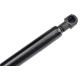 ΑΜΟΡΤΙΣΕΡ ΠΟΡΤ ΜΠΑΓΚΑΖ ΓΙΑ ALFA ROMEO GT 2003-2010 400mm/400N orig.50508060 NTY - 1 τεμ. - NTY - AE-AR-022/AJ ΑΜΟΡΤΙΣΕΡ ΠΟΡΤ ΜΠΑΓΚΑΖ ΓΙΑ ALFA ROMEO GT 2003-2010 400mm/400N orig.50508060 NTY - 1 τεμ. - NTY - AE-AR-022/AJ