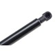 ΑΜΟΡΤΙΣΕΡ ΠΟΡΤ ΜΠΑΓΚΑΖ ΓΙΑ BMW Z3 1995-2003 214mm/680N orig.51248399087 ΝΤΥ - 1 Τεμ. - NTY - AE-BM-037/AJ ΑΜΟΡΤΙΣΕΡ ΠΟΡΤ ΜΠΑΓΚΑΖ ΓΙΑ BMW Z3 1995-2003 214mm/680N orig.51248399087 ΝΤΥ - 1 Τεμ. - NTY - AE-BM-037/AJ