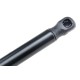 ΑΜΟΡΤΙΣΕΡ ΠΟΡΤ ΜΠΑΓΚΑΖ ΓΙΑ BMW X1 E84 2010-2015 570mm/460N orig.51242990136 - NTY - AE-BM-051/AJ ΑΜΟΡΤΙΣΕΡ ΠΟΡΤ ΜΠΑΓΚΑΖ ΓΙΑ BMW X1 E84 2010-2015 570mm/460N orig.51242990136 - NTY - AE-BM-051/AJ