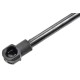 ΑΜΟΡΤΙΣΕΡ ΠΟΡΤ ΜΠΑΓΚΑΖ ΓΙΑ MITSUBISHI COLT IV 1992-1996 459mm/230N orig.MR138596 ΝΤΥ - 1 Τεμ. - NTY - AE-MS-005/AJ ΑΜΟΡΤΙΣΕΡ ΠΟΡΤ ΜΠΑΓΚΑΖ ΓΙΑ MITSUBISHI COLT IV 1992-1996 459mm/230N orig.MR138596 ΝΤΥ - 1 Τεμ. - NTY - AE-MS-005/AJ