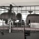 ΔΙΑΧΩΡΙΣΤΙΚΟ ΠΛΕΓΜΑ (ΠΡΟΣΤΑΤΕΥΤΙΚΟΣ ΦΡΑΓΜΟΣ) ΣΚΥΛΩΝ ΜΕ ΡΟΔΕΛΑ GUARDIAN (106-145 CM χ 30CM) - Lampa - L6042.7 ΔΙΑΧΩΡΙΣΤΙΚΟ ΠΛΕΓΜΑ (ΠΡΟΣΤΑΤΕΥΤΙΚΟΣ ΦΡΑΓΜΟΣ) ΣΚΥΛΩΝ ΜΕ ΡΟΔΕΛΑ GUARDIAN (106-145 CM χ 30CM) - Lampa - L6042.7