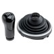 ΠΟΜΟΛΟ ΤΑΧΥΤΗΤΩΝ ΜΑΡΚΕ ΓΙΑ FORD FIESTA 2002/ FUSION 2002/TRANSIT 2000/TRANSIT CONNECT 2002/TOURNEO CONNECT 2002 ΜΕ ΦΟΥΣΚΑ - NTY - GZB-FR-010/AJ ΠΟΜΟΛΟ ΤΑΧΥΤΗΤΩΝ ΜΑΡΚΕ ΓΙΑ FORD FIESTA 2002/ FUSION 2002/TRANSIT 2000/TRANSIT CONNECT 2002/TOURNEO CONNECT 2002 ΜΕ ΦΟΥΣΚΑ - NTY - GZB-FR-010/AJ