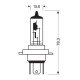 H19 12V 60/55W PU43t-3 1700/1200 lm STANDARD LINE ΑΛΟΓΟΝΟΥ (ΚΟΥΤΙ) - 1 ΤΕΜ. - Lampa - L5803.8 H19 12V 60/55W PU43t-3 1700/1200 lm STANDARD LINE ΑΛΟΓΟΝΟΥ (ΚΟΥΤΙ) - 1 ΤΕΜ. - Lampa - L5803.8
