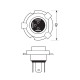 H19 12V 60/55W PU43t-3 1700/1200 lm STANDARD LINE ΑΛΟΓΟΝΟΥ (ΚΟΥΤΙ) - 1 ΤΕΜ. - Lampa - L5803.8 H19 12V 60/55W PU43t-3 1700/1200 lm STANDARD LINE ΑΛΟΓΟΝΟΥ (ΚΟΥΤΙ) - 1 ΤΕΜ. - Lampa - L5803.8