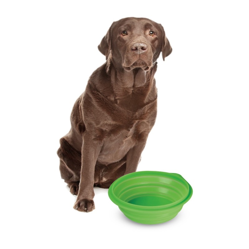 ΤΑΪΣΤΡΑ/ΜΠΟΛ ΤΑΞΙΔΙΟΥ PET TRAVEL BOWL 1000 ml ΓΙΑ ΣΚΥΛΟΥΣ/ΓΑΤΕΣ/ΚΑΤΟΙΚΙΔΙΑ ΖΩΑ (ΣΙΛΙΚΟΝΗ/ΔΙΑΦΟΡΑ ΧΡΩΜΑΤΑ) - Lampa - L6046.8 ΤΑΪΣΤΡΑ/ΜΠΟΛ ΤΑΞΙΔΙΟΥ PET TRAVEL BOWL 1000 ml ΓΙΑ ΣΚΥΛΟΥΣ/ΓΑΤΕΣ/ΚΑΤΟΙΚΙΔΙΑ ΖΩΑ (ΣΙΛΙΚΟΝΗ/ΔΙΑΦΟΡΑ ΧΡΩΜΑΤΑ) - Lampa - L6046.8