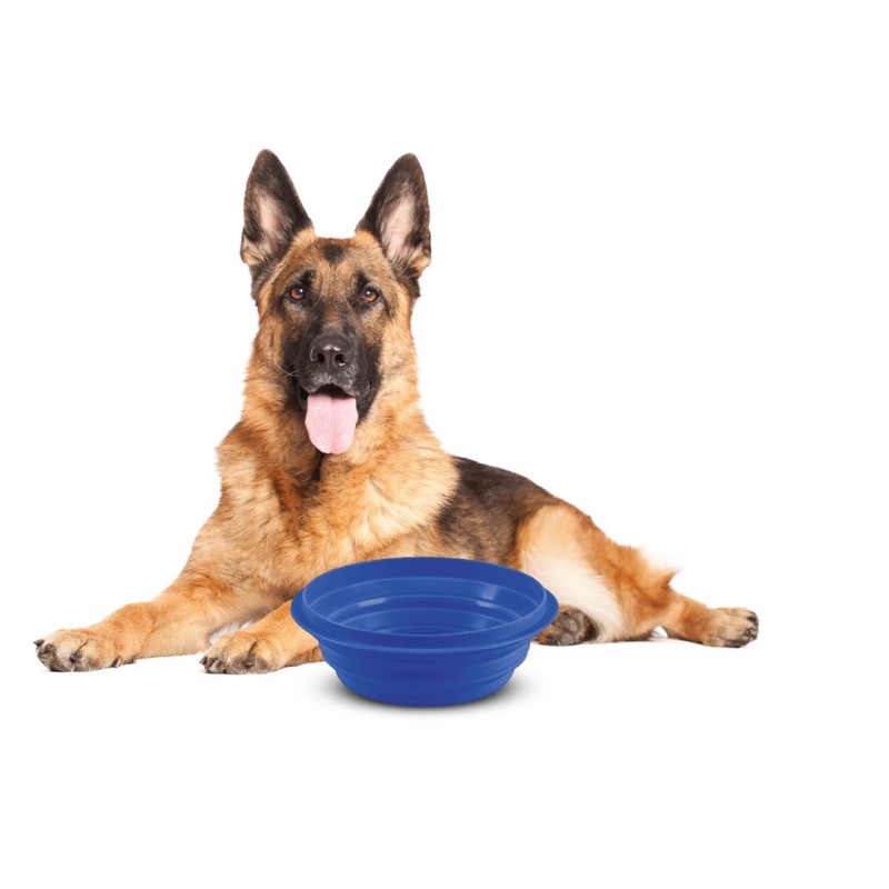 ΤΑΪΣΤΡΑ/ΜΠΟΛ ΤΑΞΙΔΙΟΥ PET TRAVEL BOWL 2000 ml ΓΙΑ ΣΚΥΛΟΥΣ/ΓΑΤΕΣ/ΚΑΤΟΙΚΙΔΙΑ ΖΩΑ (ΣΙΛΙΚΟΝΗ/ΔΙΑΦΟΡΑ ΧΡΩΜΑΤΑ) - Lampa - L6046.9 ΤΑΪΣΤΡΑ/ΜΠΟΛ ΤΑΞΙΔΙΟΥ PET TRAVEL BOWL 2000 ml ΓΙΑ ΣΚΥΛΟΥΣ/ΓΑΤΕΣ/ΚΑΤΟΙΚΙΔΙΑ ΖΩΑ (ΣΙΛΙΚΟΝΗ/ΔΙΑΦΟΡΑ ΧΡΩΜΑΤΑ) - Lampa - L6046.9