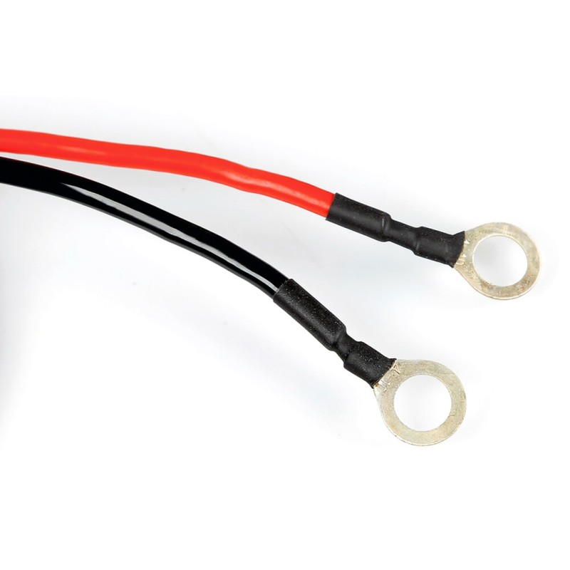 ΡΕΥΜΑΤΟΔΟΤΕΣ POLE EXTENSIONS 12/24V 180cm ΜΕ ΑΚΡΟΔΕΚΤΕΣ 9,5mm ΓΙΑ ΠΟΛΟΥΣ ΜΠΑΤΑΡΙΑΣ ΚΑΙ ΑΣΦΑΛΕΙΑ 30A - Lampa - L7015.9 ΡΕΥΜΑΤΟΔΟΤΕΣ POLE EXTENSIONS 12/24V 180cm ΜΕ ΑΚΡΟΔΕΚΤΕΣ 9,5mm ΓΙΑ ΠΟΛΟΥΣ ΜΠΑΤΑΡΙΑΣ ΚΑΙ ΑΣΦΑΛΕΙΑ 30A - Lampa - L7015.9