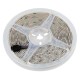 ΤΑΙΝΙΑ RGB 12V 350SMD LED ΕΥΚΑΜΠΤΗ ΜΕ ΑΥΤΟΚΟΛΛΗΤΗ ΤΑΙΝΙΑ 3M ΚΑΙ ΦΙΣ 4 PIN 500cm - Lampa - L7364.6 ΤΑΙΝΙΑ RGB 12V 350SMD LED ΕΥΚΑΜΠΤΗ ΜΕ ΑΥΤΟΚΟΛΛΗΤΗ ΤΑΙΝΙΑ 3M ΚΑΙ ΦΙΣ 4 PIN 500cm - Lampa - L7364.6