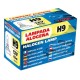 H9 12V/65W PGJ19-5 ΑΛΟΓΟΝΟΥ - Lampa - L5795.1 H9 12V/65W PGJ19-5 ΑΛΟΓΟΝΟΥ - Lampa - L5795.1
