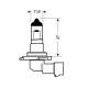 H12 12V/53W ΑΛΟΓΟΝΟΥ - Lampa - L5798.1 H12 12V/53W ΑΛΟΓΟΝΟΥ - Lampa - L5798.1