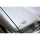 ΑΓΚΙΣΤΡΑ ΚΑΠΩ ΝΙΚΕΛ GC-0 - Lampa - L0455.0 ΑΓΚΙΣΤΡΑ ΚΑΠΩ ΝΙΚΕΛ GC-0 - Lampa - L0455.0