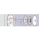 ΑΝΤΑΠΤΟΡΑΣ 24mm ΓΙΑ SPIKES SPIDER - Lampa - L1705.4 ΑΝΤΑΠΤΟΡΑΣ 24mm ΓΙΑ SPIKES SPIDER - Lampa - L1705.4