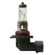 H10 ΑΛΟΓΟΝΟΥ 12V/42W/PY20d - Lampa - L5796.0 H10 ΑΛΟΓΟΝΟΥ 12V/42W/PY20d - Lampa - L5796.0