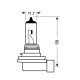 H11 ΑΛΟΓΟΝΟΥ 12V 55W - Lampa - L5797.0 H11 ΑΛΟΓΟΝΟΥ 12V 55W - Lampa - L5797.0