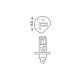H1 ΑΛΟΓΟΝΟΥ 12V/55W 62.5mm P14,5s ΛΑΜΠΑ - Lampa - L5801.0 H1 ΑΛΟΓΟΝΟΥ 12V/55W 62.5mm P14,5s ΛΑΜΠΑ - Lampa - L5801.0
