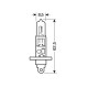 H1 ΑΛΟΓΟΝΟΥ 12V/100W 62.5mm P14,5s ΤΕΜ1 - Lampa - L5801.1 H1 ΑΛΟΓΟΝΟΥ 12V/100W 62.5mm P14,5s ΤΕΜ1 - Lampa - L5801.1