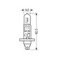 H1 ΑΛΟΓΟΝΟΥ 12V/55W - Lampa - L5801.3 H1 ΑΛΟΓΟΝΟΥ 12V/55W - Lampa - L5801.3