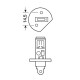 H1 ΑΛΟΓΟΝΟΥ 12V/55W - Lampa - L5801.3 H1 ΑΛΟΓΟΝΟΥ 12V/55W - Lampa - L5801.3