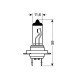 H7 ΑΛΟΓΟΝΟΥ 12V/55W PX26d - Lampa - L5805.7 H7 ΑΛΟΓΟΝΟΥ 12V/55W PX26d - Lampa - L5805.7