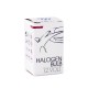 P13W 12V 13W PG18.5d-1 ΑΛΟΓΟΝΟΥ (HALOGEN) M-TECH -1 ΤΕΜ. - M-Tech - Z120/MT P13W 12V 13W PG18.5d-1 ΑΛΟΓΟΝΟΥ (HALOGEN) M-TECH -1 ΤΕΜ. - M-Tech - Z120/MT