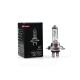 H7 24V 70W PX26d STANDARD ΑΛΟΓΟΝΟΥ ΚΟΥΤΙ 1ΤΕΜ. M-TECH - M-Tech - Z907/MT H7 24V 70W PX26d STANDARD ΑΛΟΓΟΝΟΥ ΚΟΥΤΙ 1ΤΕΜ. M-TECH - M-Tech - Z907/MT