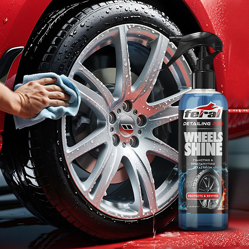 Γυαλιστικό Και Συντηρητικό Ελαστικών Feral Detailing Pro 750ml 1 Τεμάχιο Auto GS 18912 Γυαλιστικό Και Συντηρητικό Ελαστικών Feral Detailing Pro 750ml 1 Τεμάχιο Auto GS 18912