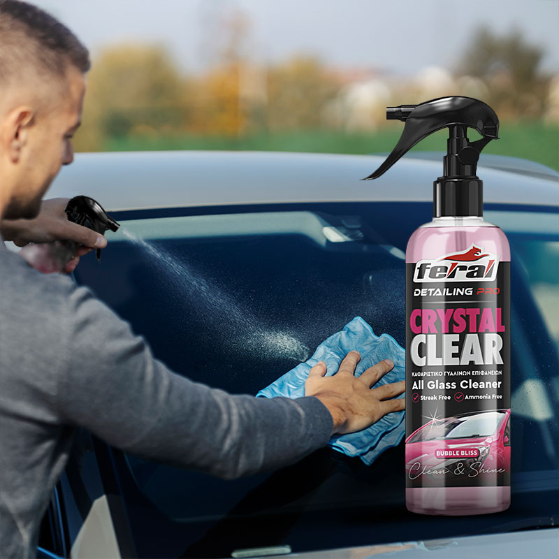 Καθαριστικό Τζαμιών Bubble Bliss Feral Detailing Pro 750ml 1 Τεμάχιο Auto GS 18937
