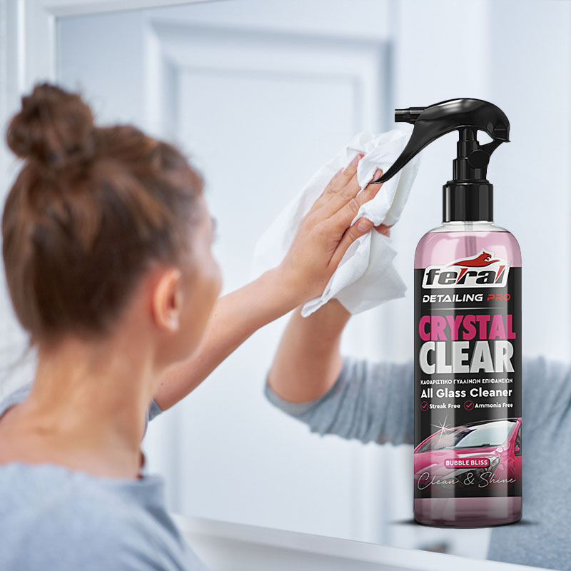 Καθαριστικό Τζαμιών Bubble Bliss Feral Detailing Pro 750ml 1 Τεμάχιο Auto GS 18937