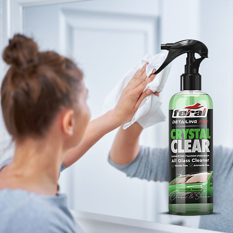 Καθαριστικό Τζαμιών Tropical Forest Feral Detailing Pro 750ml 1 Τεμάχιο Auto GS 18938