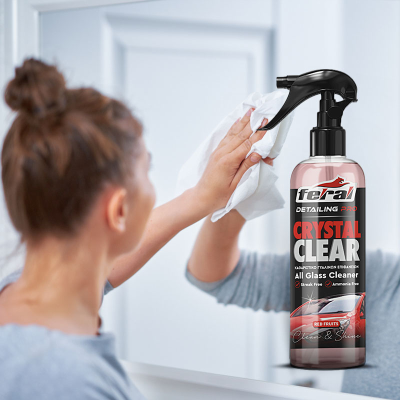 Καθαριστικό Τζαμιών Red Fruits Feral Detailing Pro 750ml 1 Τεμάχιο Auto GS 18940