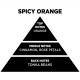 Αρωματικό Κερί Σόγιας Themagio Spicy Orange 300gr 1 Τεμάχιο